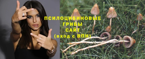 тгк Касимов