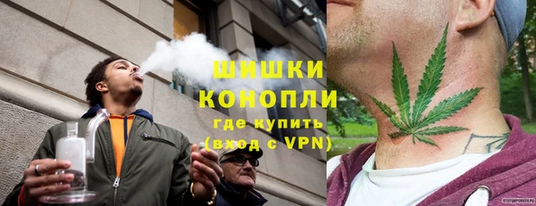 тгк Касимов