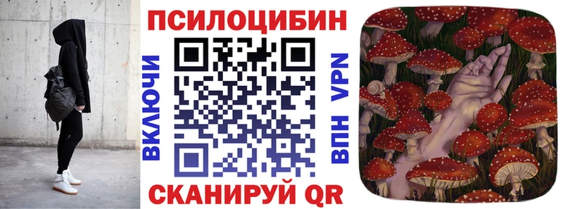 Купить  Болхов  Псилоцибиновые грибы прущие грибы 